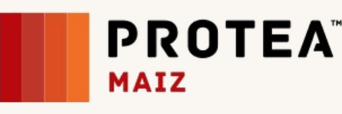 PROTEA Maíz